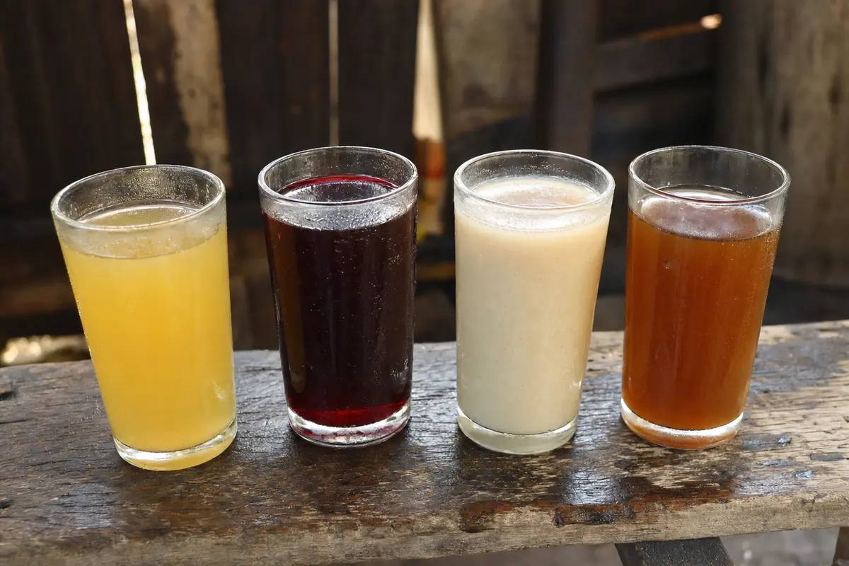 Quatre verres alignés sur un banc de bois : gingembre doré, bissap rubis, baobab laiteux, tamarin brun.